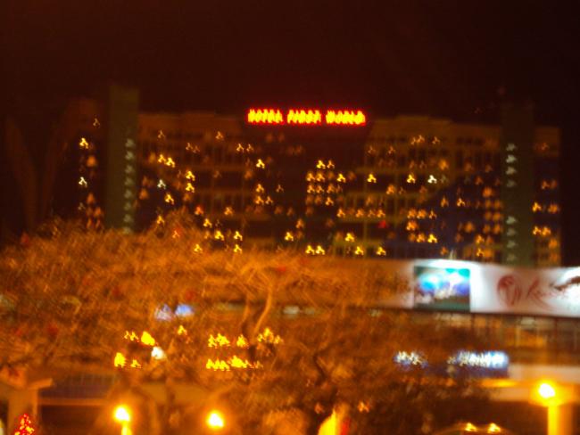 DSC03825_resize.JPG